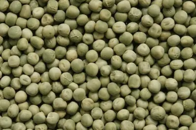 La producción de legumbres marcó un nuevo récord en 2025