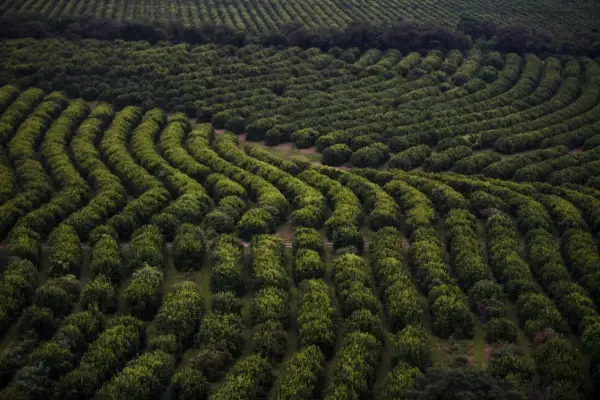 El agro regional se reúne en LA GACETA