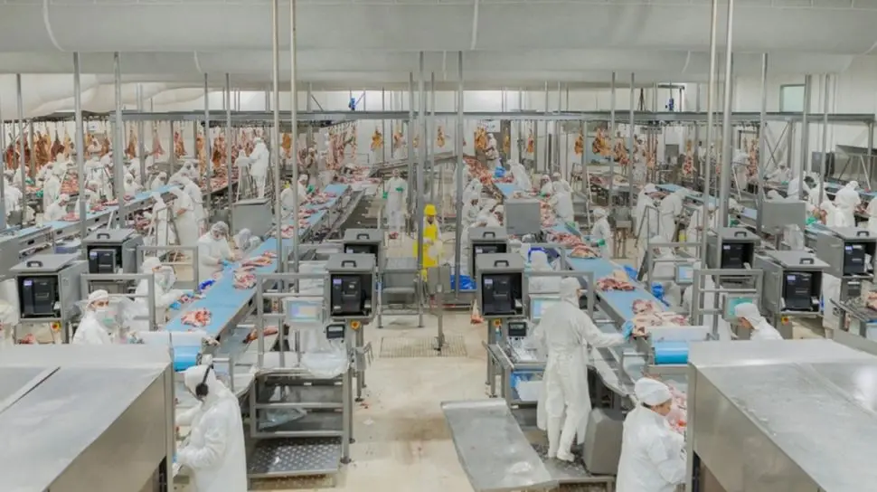 En procesos de inspección: actualización de criterios y refuerzo del bienestar animal