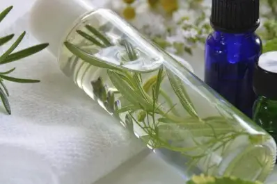 Cómo usar agua de romero para fortalecer el cabello y evitar la caída