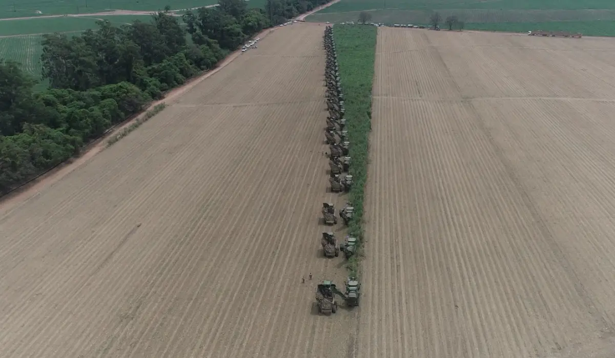 Fin de la zafra en Ledesma. LEDESMA