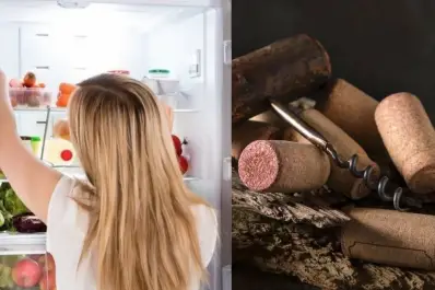 ¿Para qué sirve poner corchos en la heladera?: la solución a un viejo problema