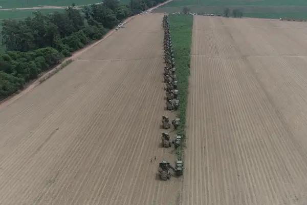 Zafra 2025: el Centro Azucarero Argentino señaló que el balance fue muy ajustado