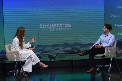 De la naranja a la palta Hass: la audacia tucumana que transformó un cultivo tradicional