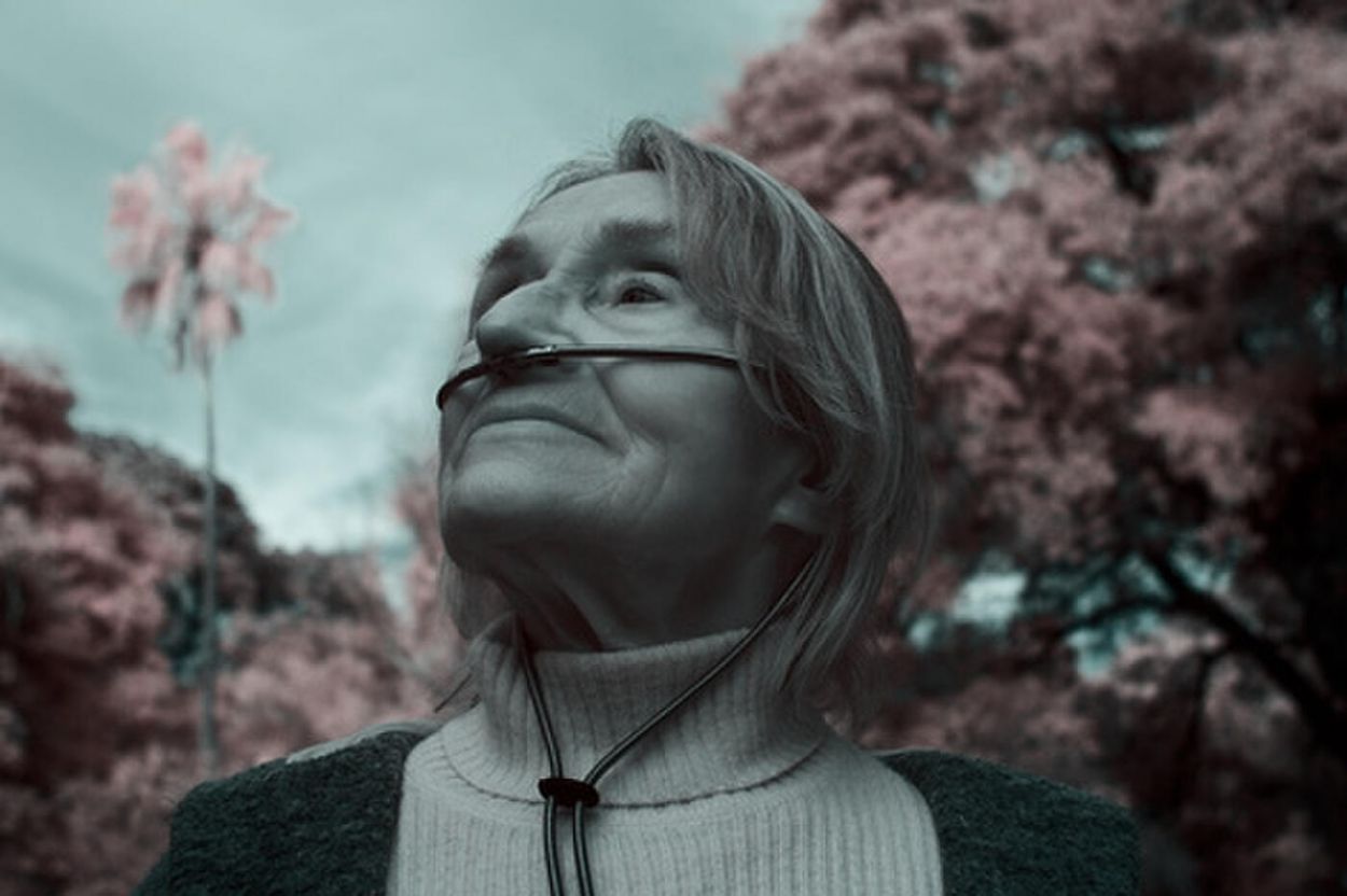 Estrenos de cine: magia, acción, trampas y comedia en una secuela