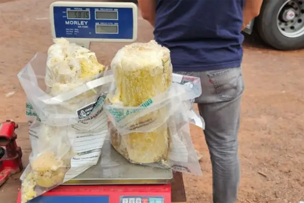 Mismo método, distintos camiones: descubren 16 kilos de cocaína procedentes de Bolivia