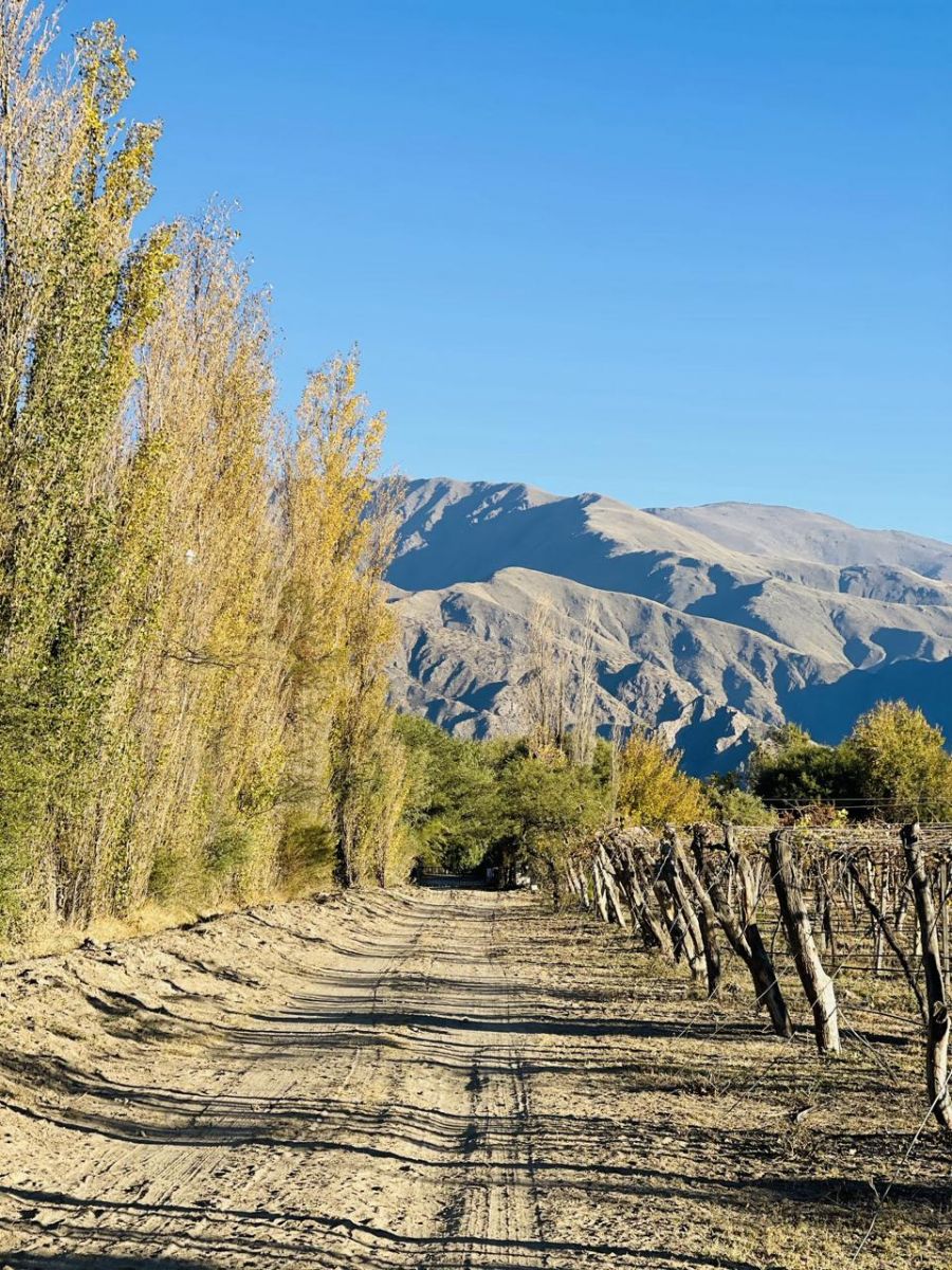 El paisaje que ofrece El Bañado es una tentación para los turistas. 