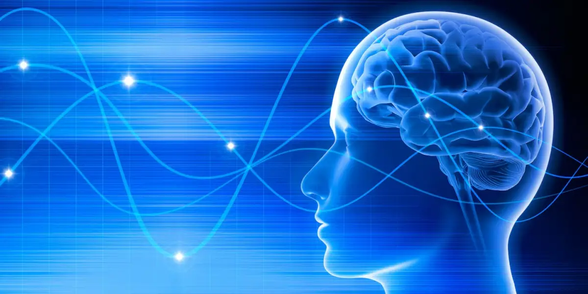 Científicos descubren que los seres humanos tendrían un séptimo sentido: de qué se trata