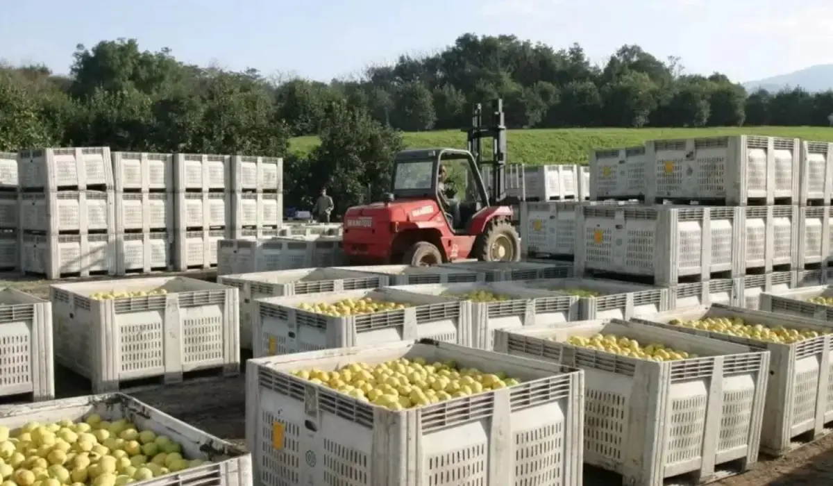 La reacción del mercado tras el acuerdo con EEUU: las acciones de San Miguel pegaron un salto del 27%