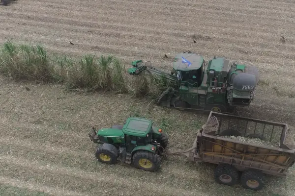 Tucumán cerró una zafra histórica con récord de molienda y altos niveles de producción