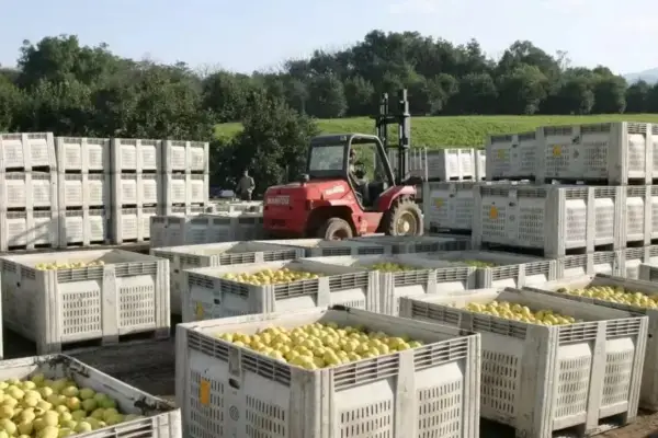 La reacción del mercado tras el acuerdo con EEUU: las acciones de San Miguel pegaron un salto del 27%