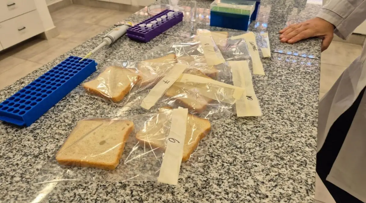 Los aprendizajes que dejó en la Eeaoc la incubación de BioBlends