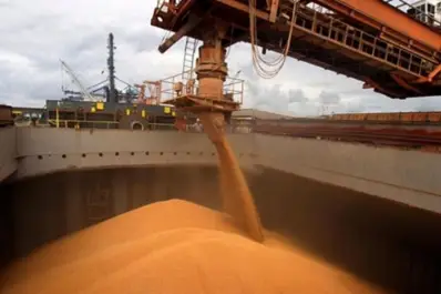 El Senasa realizó un balance de lo hecho desde fines de 2023