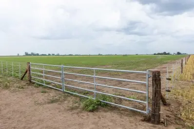 Delitos rurales: la Sociedad Rural de Tucumán alerta sobre el incremento de robos y de ataques armados