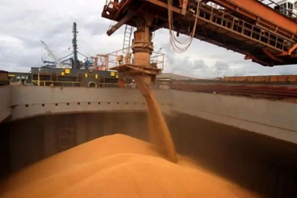 El Senasa realizó un balance de lo hecho desde fines de 2023