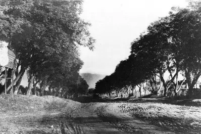 Recuerdos fotográficos: 1913. Alerta ecológica de Charles Thays sobre el cerro