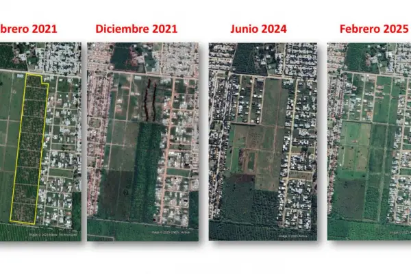 El limón retrocede, la urbanización avanza: radiografía de un cambio territorial en el Gran Tucumán