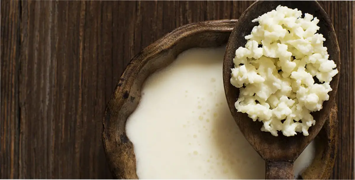 El kéfir es la bebida fermentada predilecta de los especialistas. 