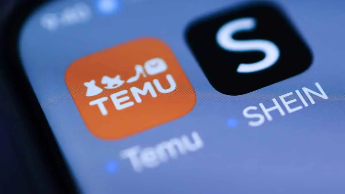 Shein, Temu y tiendas online: cuál es el monto máximo por envío y cuánto podés comprar sin pagar impuestos