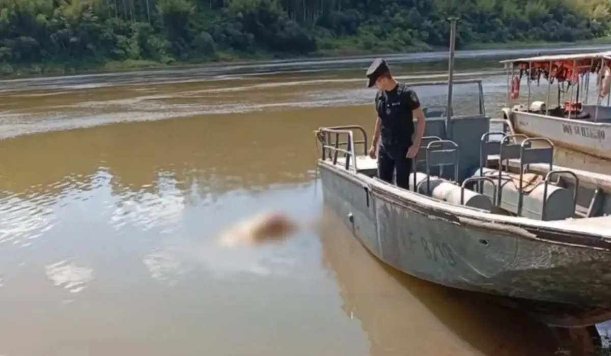Encontraron un cuerpo con una bolsa en la cabeza en el río Paraná