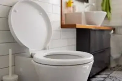 El truco casero para perfumar el baño de forma económica y sin químicos