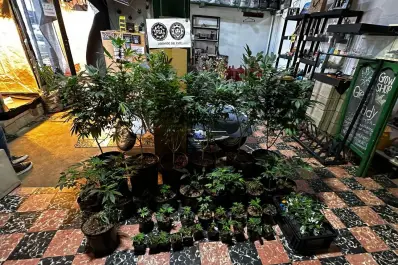 Cayó un cabecilla que manejaba dos bandas narco: una exportaba cocaína y otra distribuía en el AMBA