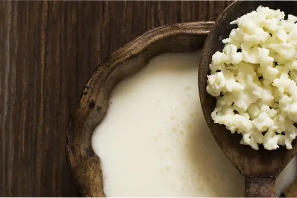 “Oro blanco”: la bebida que mejora la microbiota intestinal y refuerza las defensas, según la ciencia