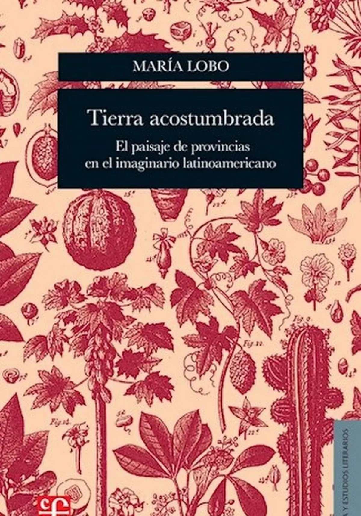 Un ensayo de María Lobo: “Tierra acostumbrada” se presenta esta tarde en la librería Cúspide