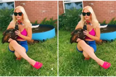 La historia viral del pato Monty: de ser rescatado a convertirse en una estrella de las redes