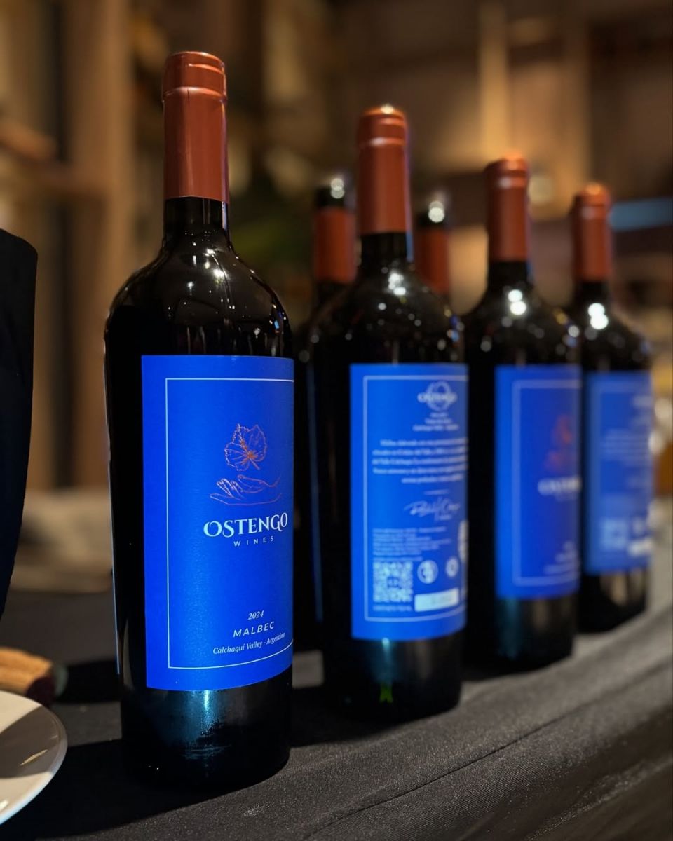 VINO PREMIADO. El Malbec 2024 elaborado con uvas de Colalao del Valle. 