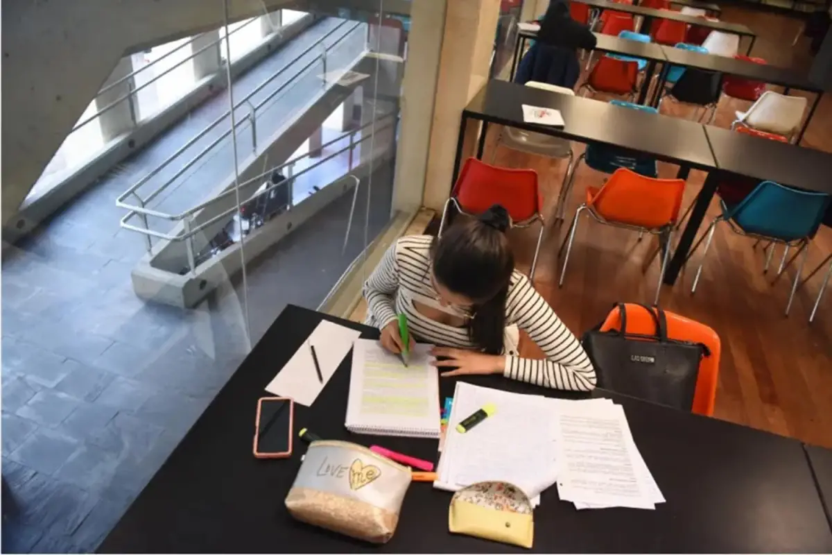 Qué te conviene estudiar