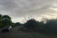 Ráfagas de 100 km/h, granizo y caos: qué provocó la violenta tormenta en Tucumán y cómo seguirá el tiempo