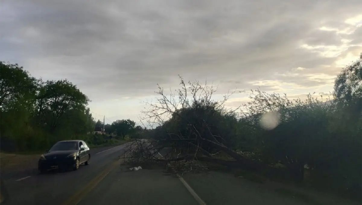 Ráfagas de 100 km/h, granizo y caos: qué provocó la violenta tormenta en Tucumán y cómo seguirá el tiempo