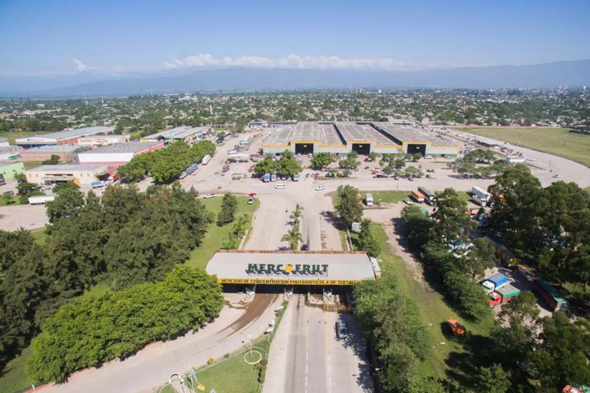 Medidas para retirar el “mercado paralelo” cercano al Mercofrut