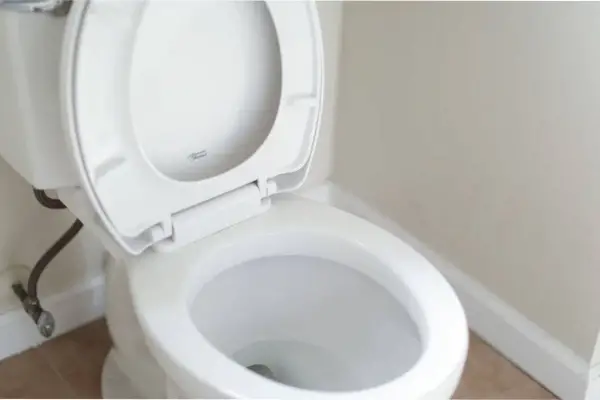 El truco viral de tirar sal en el inodoro: cómo funciona y cada cuánto tiempo aplicarlo