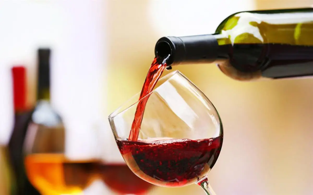 EFEMÉRIDE. Hoy se celebra el Día del Vino Argentino Bebida Nacional.