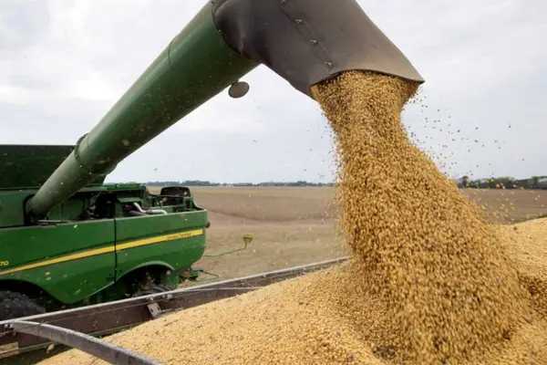 ¿Qué sectores de la economía argentina ganaron y cuáles perdieron este año?