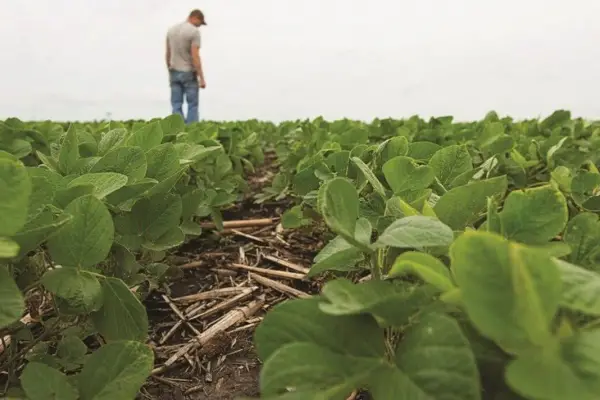 “La Niña” se acerca y crece la incertidumbre en el campo