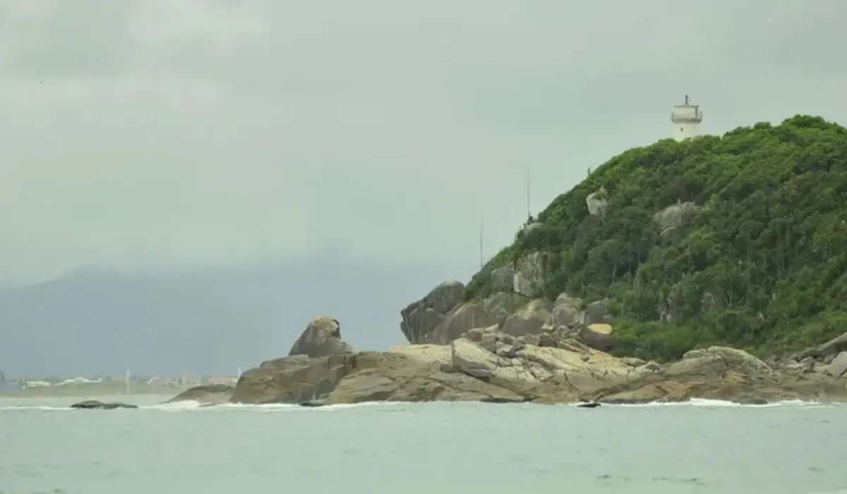 Vacaciones 2026: la playa brasileña poco visitada que sorprende por su naturaleza única y queda cerca de Argentina
