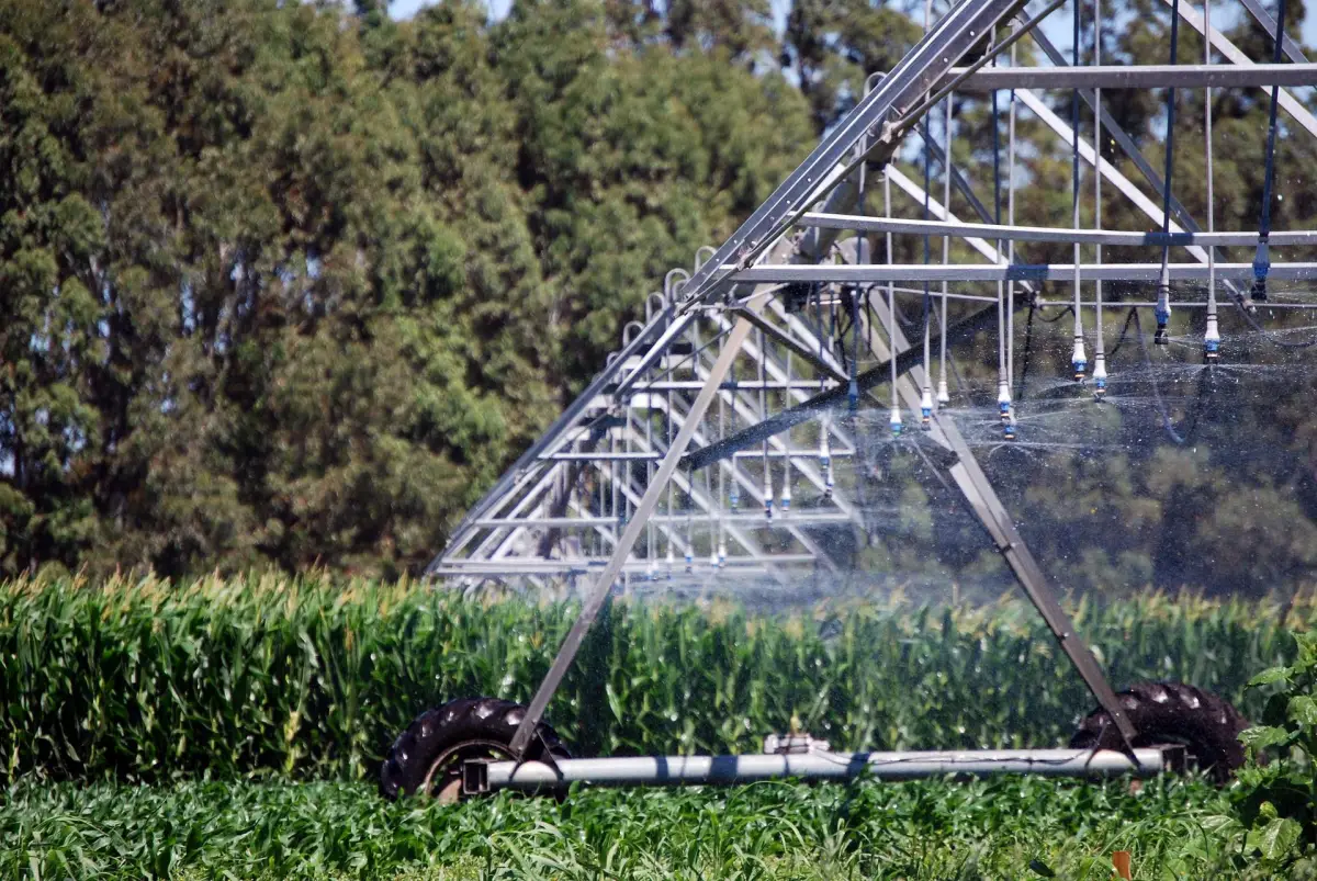 Sistema de riego. AGRICULTURA
