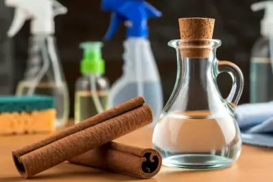 El secreto casero que volvió a ponerse de moda: por qué todos mezclan canela con vinagre blanco