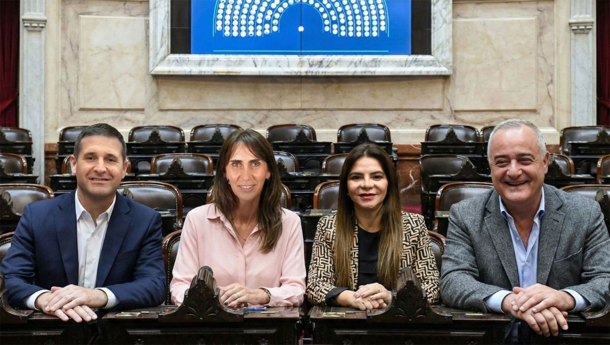 NUEVOS DIPUTADOS. La próxima semana jurarán en el Congreso los representantes tucumanos Federico Pelli, Soledad Molinuevo, Gladys Medina y Javier Noguera.