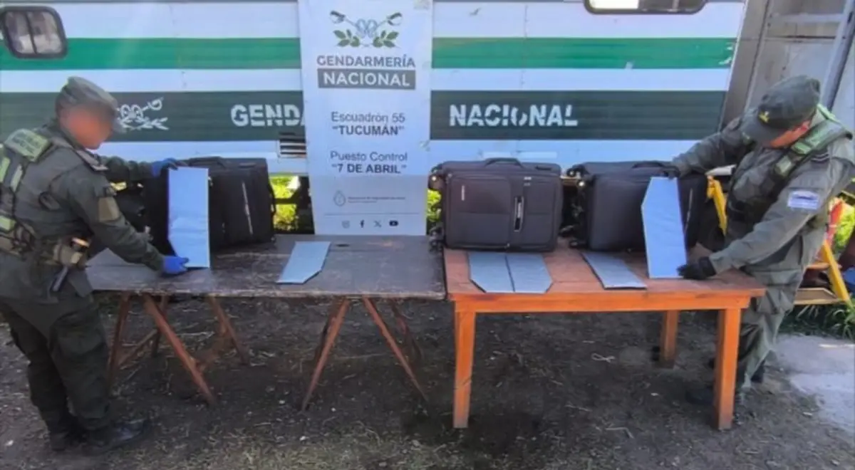 Tucumán: confeccionaron láminas en las telas de tres valijas para ocultar más de 6 kilos de cocaína