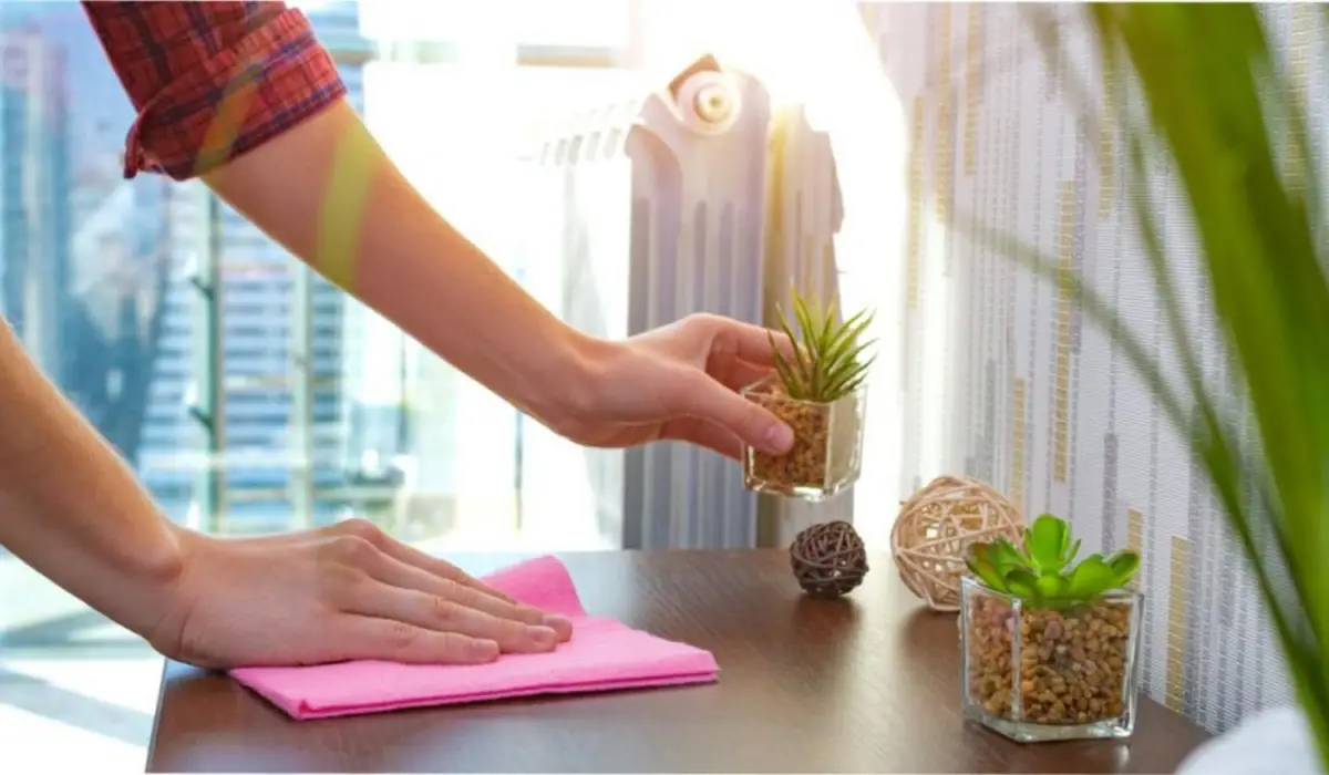 Qué objetos bloquean la energía en tu casa y deben irse antes del 2026, según el Fen Shui