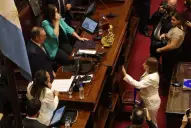 Juraron los nuevos senadores: el oficialismo creció pero los roces internos marcaron la ceremonia