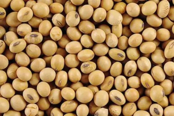 La siembra de soja en la zona núcleo avanza por debajo del ritmo histórico