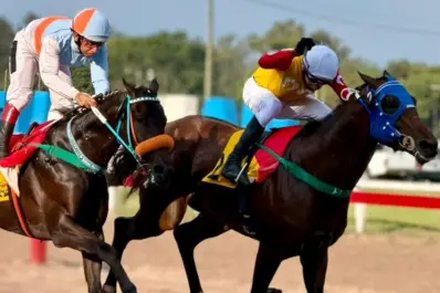 Curioso Honey y Show Goes On, dos gratas sorpresas en el turf local