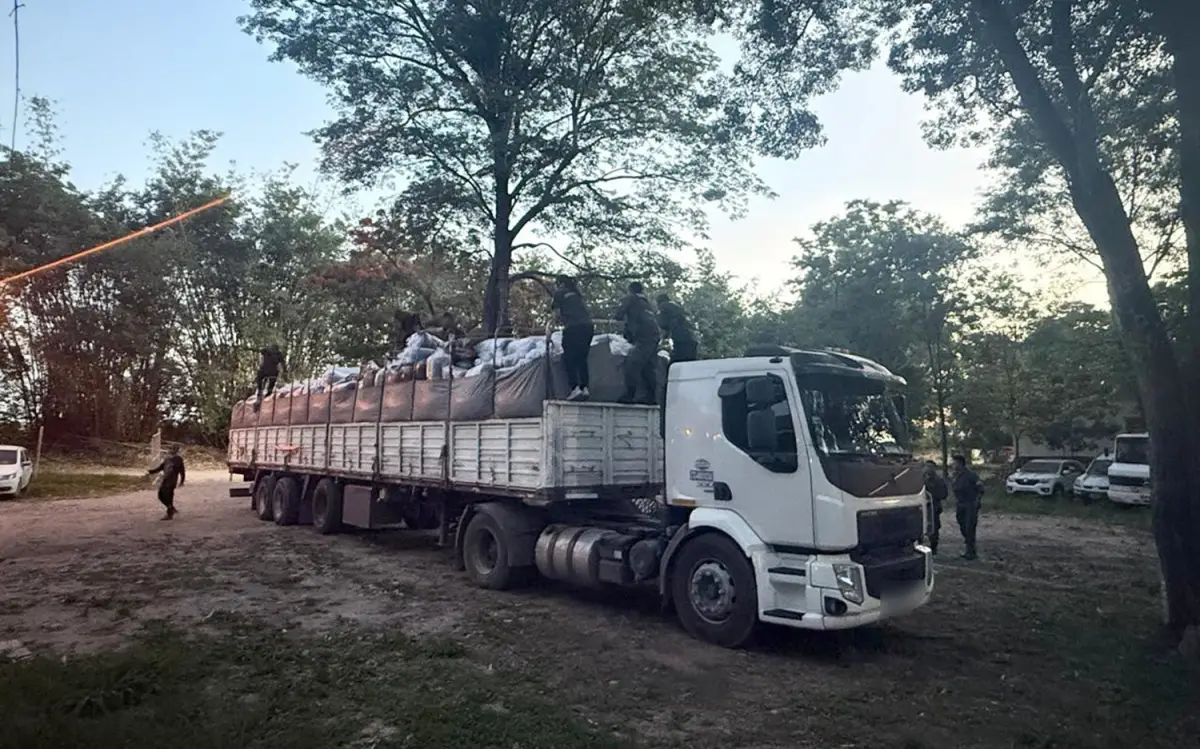 Gendarmería secuestró más de cuatro toneladas de hojas de coca ocultas en un cargamento de expeller de soja