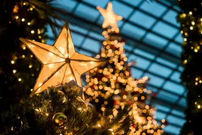 Cuándo se arma el árbol de Navidad y por qué se hace en esa fecha