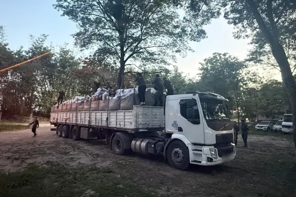 Gendarmería secuestró más de cuatro toneladas de hojas de coca ocultas en un cargamento de expeller de soja